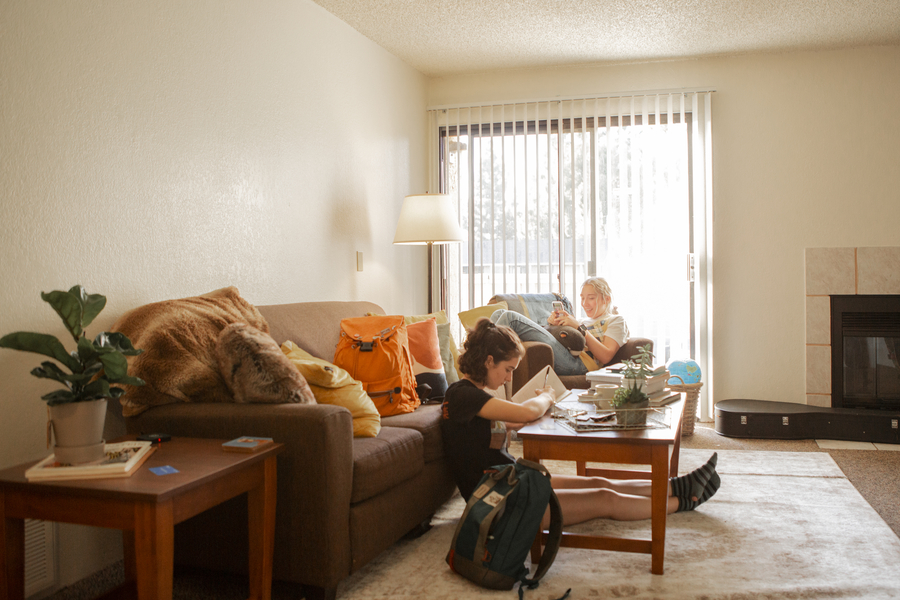 Two students studying in dorm living room