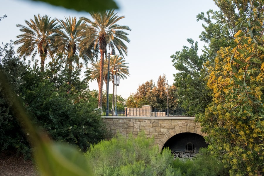 bridge on campus