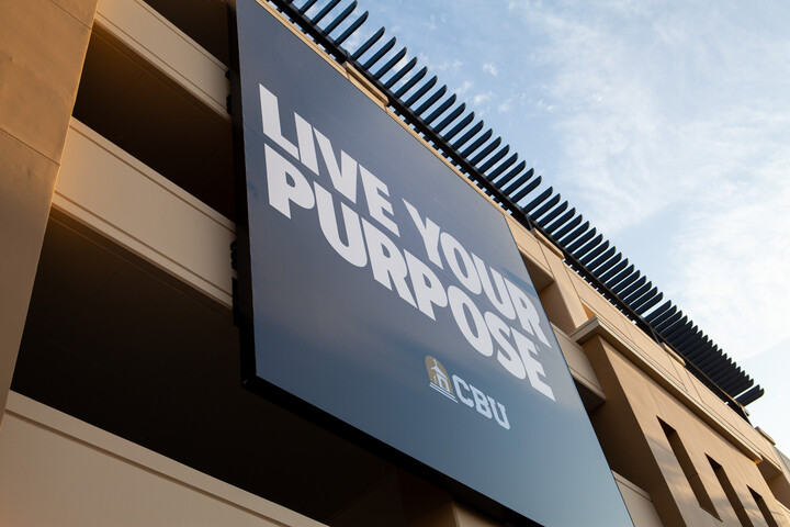 Live Your Purpose Sign