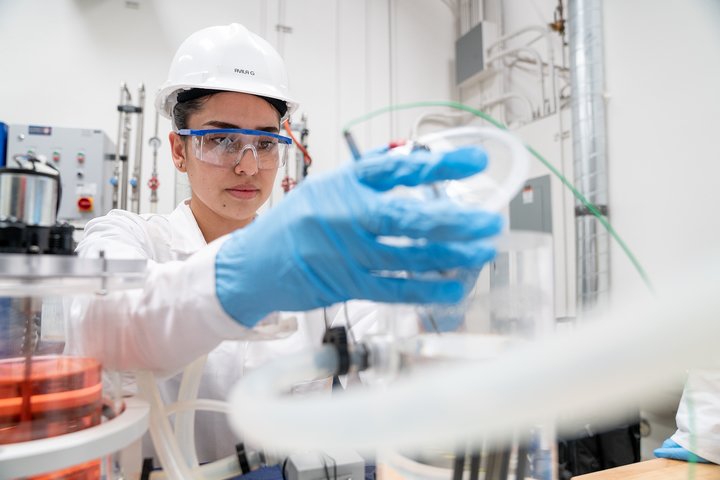 Department of Chemical Engineering