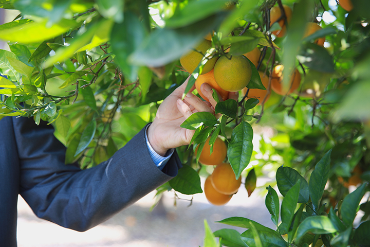 environmental science