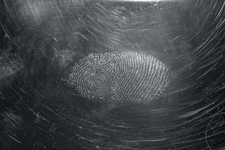 fingerprint