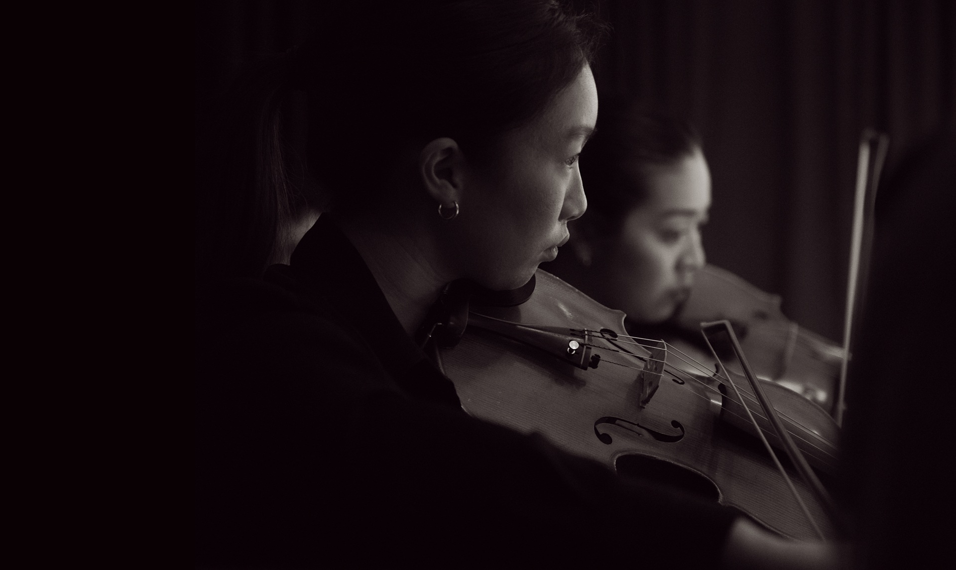 two violinist playing
