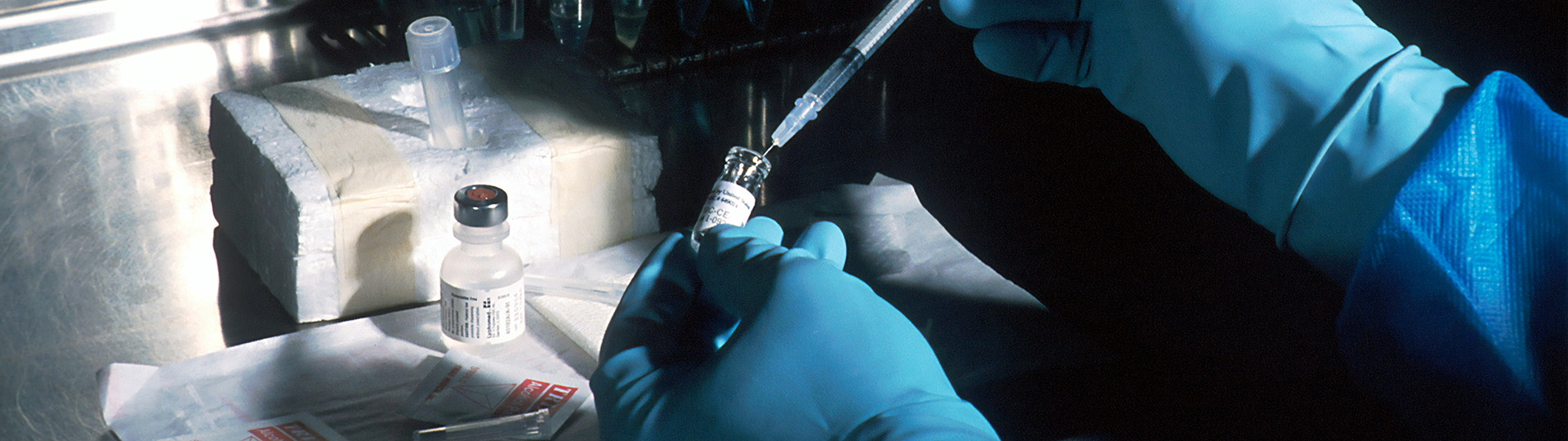 Hands of a scientist, under a sterile hood, preparing the carcinoembryonic antigen (CEA) vaccinia used to try to prevent cancer.