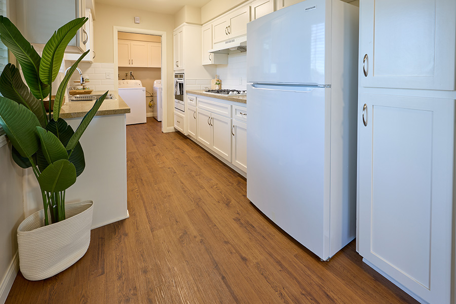 University Housing Kitchen