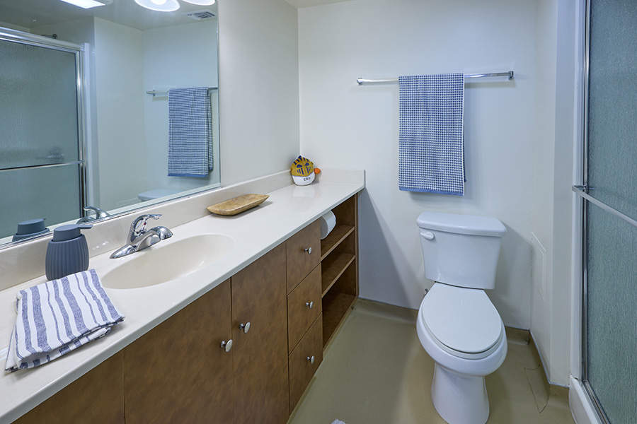 The Village Bathroom