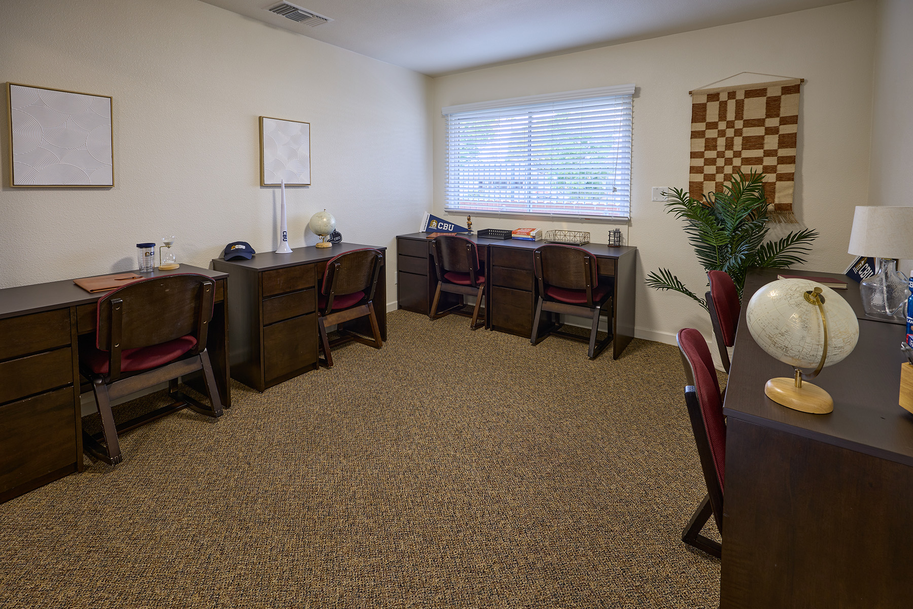 The Village Study Area