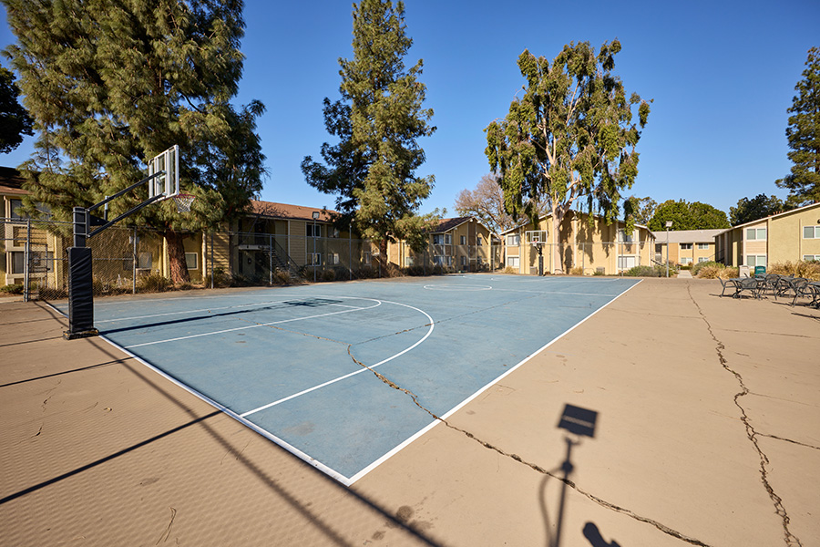 The Colony Basketball court