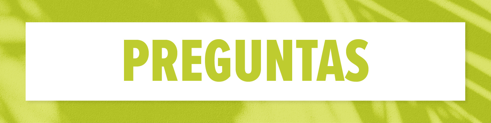 Preguntas